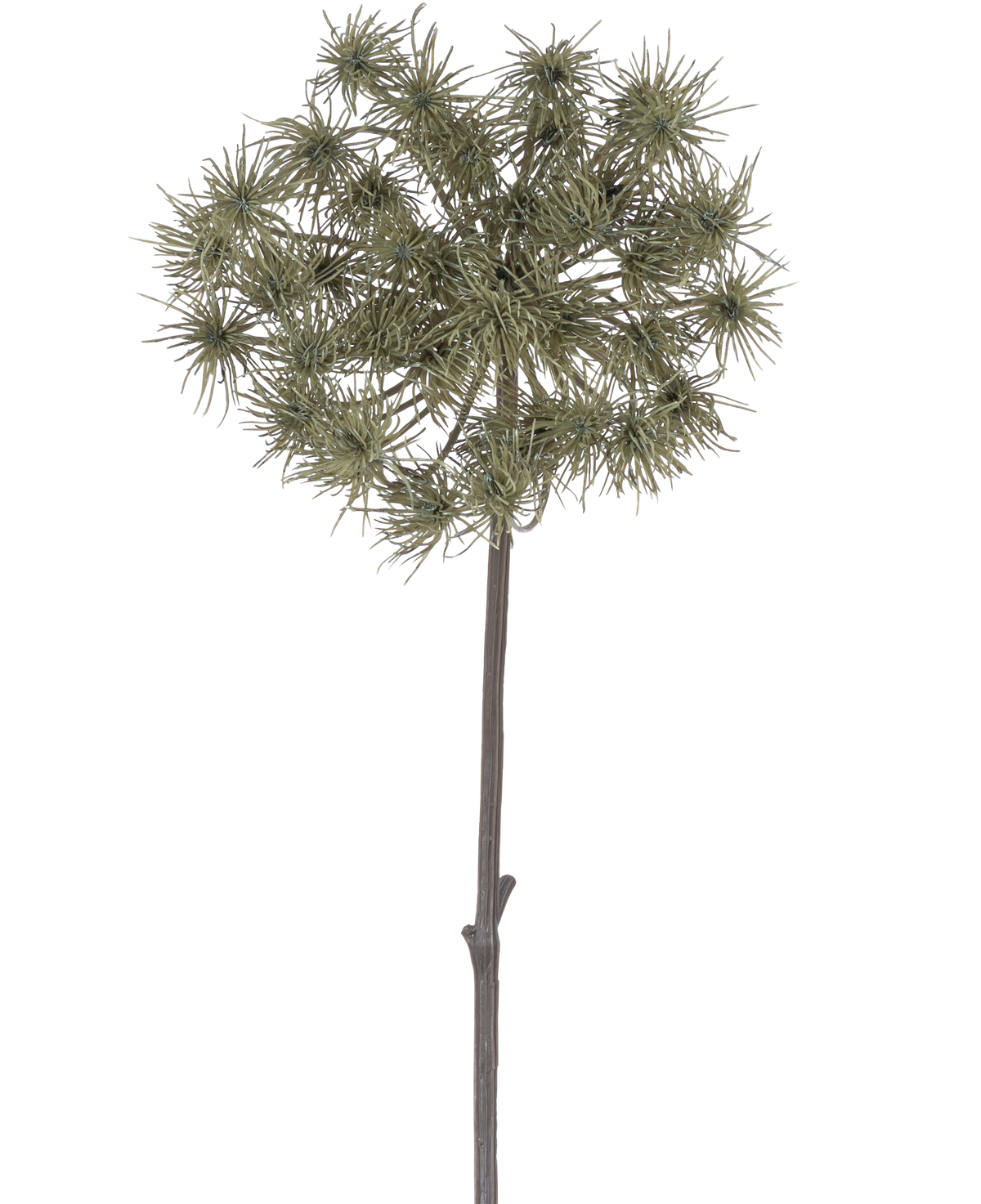 La Flor Artificial Hogweed de 100 cm es un único tallo artificial con racimos de tenues cabezas florales de color gris verdoso, erguidas sobre un fondo blanco liso.