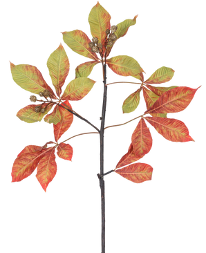 Una rama artificial de castaño de 91 cm, rama roja/verde con manojos de hojas rojas y verdes, algunas con bordes marrones, junto con pequeñas vainas de semillas marrones sobre un fondo blanco.