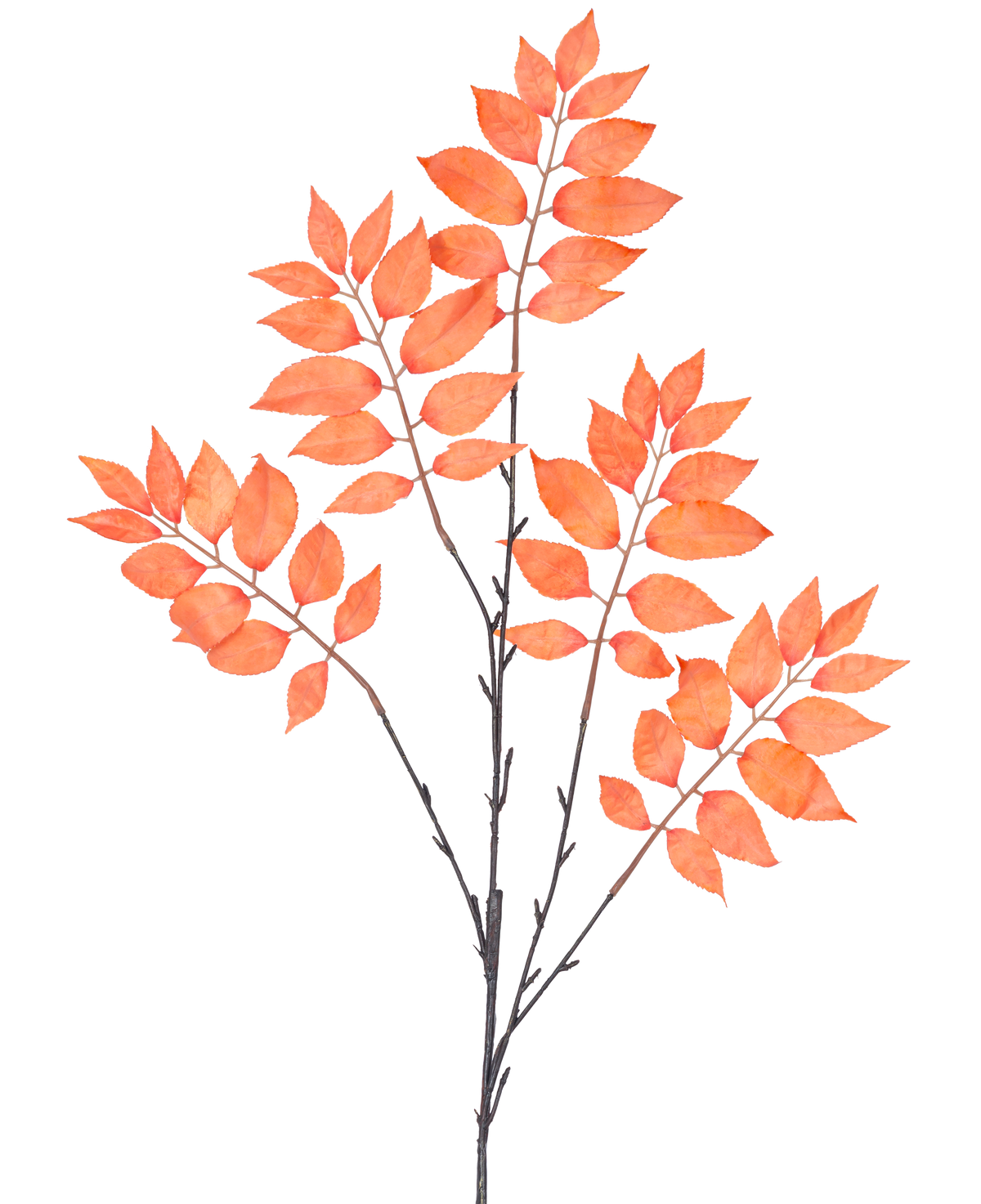 El helecho artificial ramificado de 83 cm de color naranja tiene tres manojos de tallos delgados y oscuros con numerosas hojas ovaladas de color rojo anaranjado, simétricas y abiertas sobre un fondo blanco.