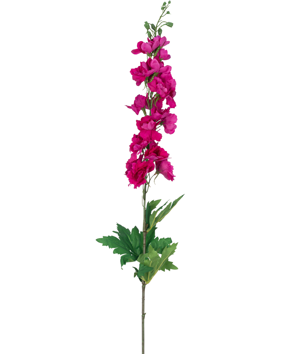 Una sola flor artificial Larkspur Real Touch rosa, de 90 cm de altura con múltiples flores rosas a lo largo del tallo superior y hojas verdes en la base, en la foto sobre un fondo blanco.