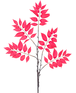 El Helecho Artificial Ramificado de 83 cm rojo tiene una serie de tallos delgados con racimos de hojas de color rojo vibrante, todas dispuestas simétricamente sobre un fondo blanco.