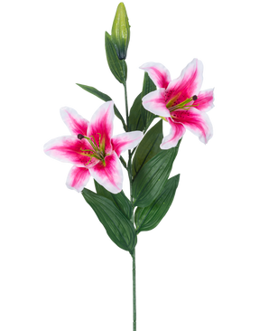 La flor de lirio artificial rosa de 85 cm tiene dos lirios en flor de color rosa y blanco, un capullo cerrado y varias hojas largas y verdes, hermosas sobre un fondo blanco.