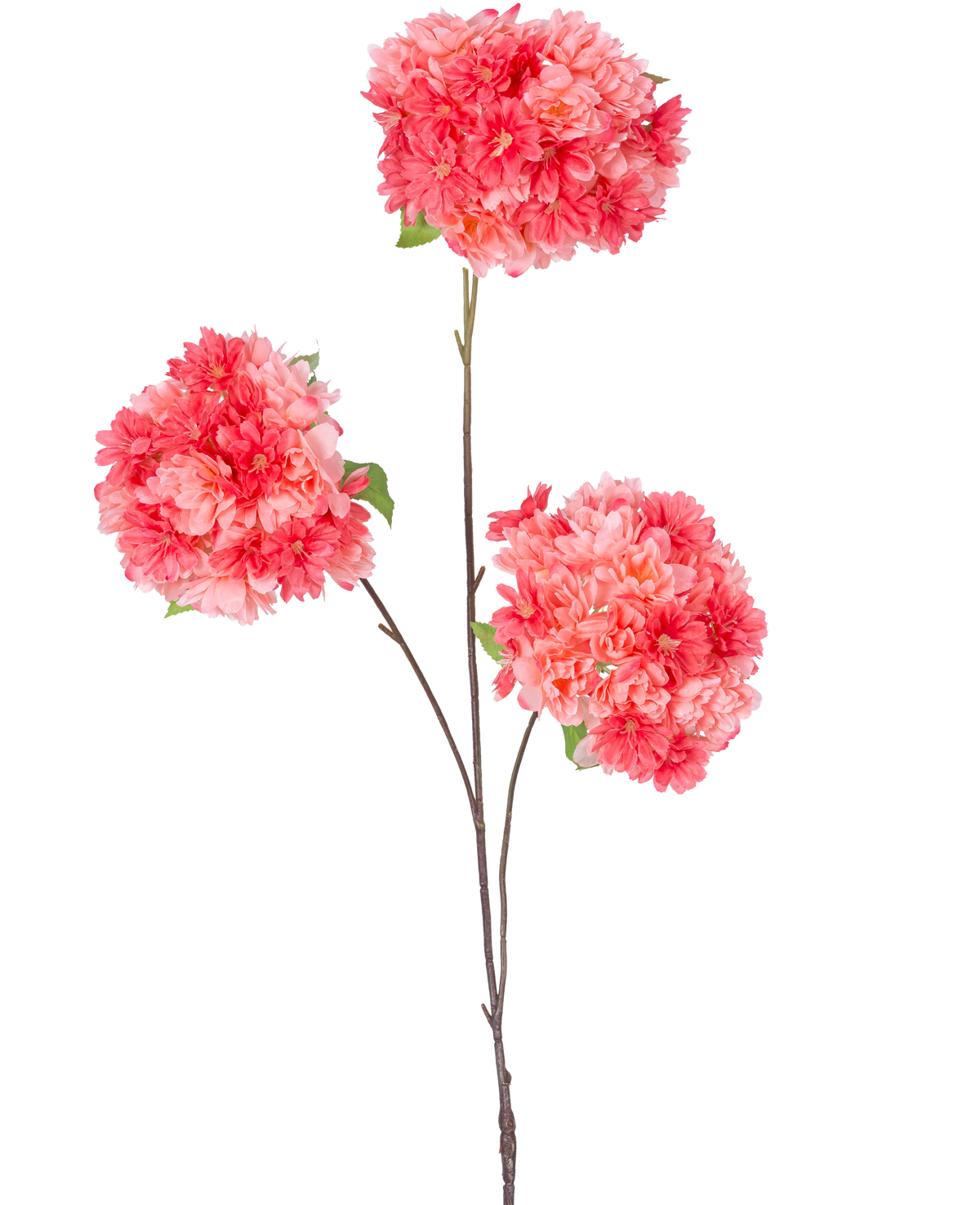 Un único y fino tallo marrón de la rama artificial de flor de cerezo de 85 cm de coral contiene tres ramos de vibrantes flores de cerezo de color rosa y coral con hojas verdes, sobre un fondo blanco liso.