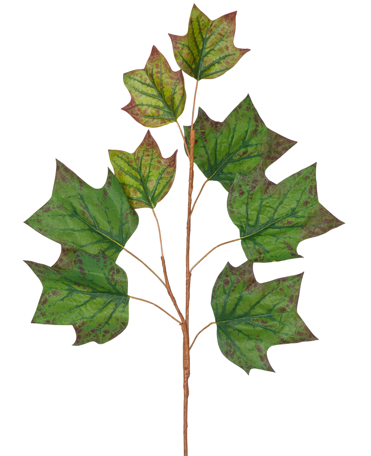 Una rama de hoja de roble artificial de 84 cm de color verde con varias hojas verdes grandes en forma de roble con manchas de color marrón rojizo sobre un fondo blanco liso.