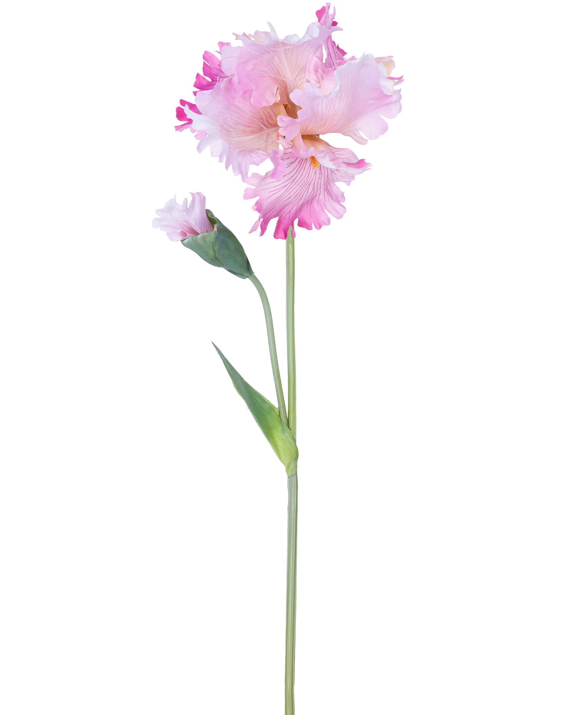 La Flor Artificial Iris 80 cm rosa tiene un único tallo de iris rosa con volantes en los pétalos y un capullo cerrado, sobre un fondo liso blanco.