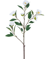 La flor artificial Camelia 80 cm blanca tiene una sola rama con varias hojas verdes y varias flores blancas sobre un fondo blanco liso.