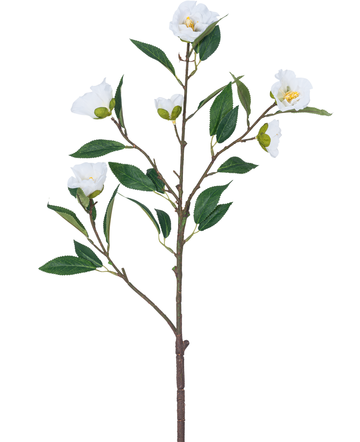 La flor artificial Camelia 80 cm blanca tiene una sola rama con varias hojas verdes y varias flores blancas sobre un fondo blanco liso.