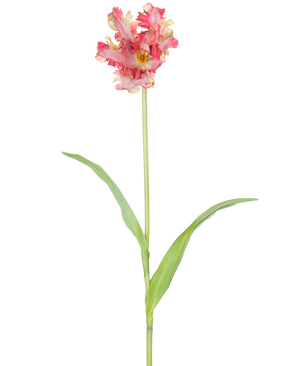 Flor Artificial Tulipán Periquito Francés de 76 cm en color rojo/amarillo con volantes en los pétalos, un largo tallo verde y dos hojas verdes alargadas, sobre un fondo blanco.