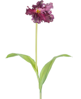 La Flor Artificial Tulipán Periquito Francés 76 cm violeta es un único tulipán artificial de color violeta con volantes en los pétalos y dos hojas verdes alargadas sobre un tallo largo, sobre un fondo liso blanco.
