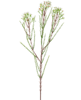 La Rama Artificial Waxflower 78 cm crema tiene un único tallo alto con finas hojas verdes y ramilletes de pequeñas flores de color blanco crema en la parte superior, sobre un fondo liso y claro.