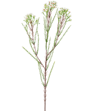 La Rama Artificial Waxflower 78 cm crema tiene un único tallo alto con finas hojas verdes y ramilletes de pequeñas flores de color blanco crema en la parte superior, sobre un fondo liso y claro.