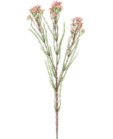 La Rama Artificial Waxflower 78 cm rosa tiene un solo tallo con finas hojas verdes y varios ramos de pequeñas flores de color rosa claro en la parte superior, sobre un fondo blanco.