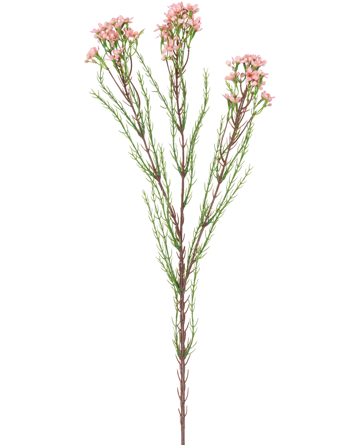 La Rama Artificial Waxflower 78 cm rosa tiene un solo tallo con finas hojas verdes y varios ramos de pequeñas flores de color rosa claro en la parte superior, sobre un fondo blanco.