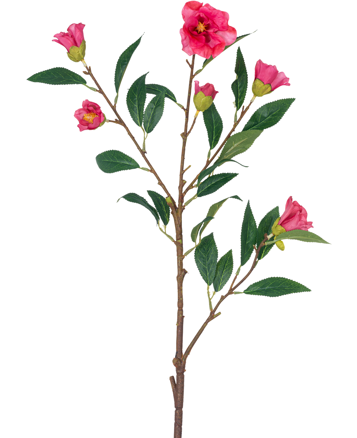 La Flor Artificial Camelia 80 cm rosa es un solo tallo con múltiples ramas, hojas verdes y varias flores y capullos de color rosa brillante, aislados sobre un fondo blanco.