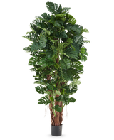 Planta artificial filodendro de 230 cm con hojas grandes de color verde brillante en una maceta negra, presentada sobre un fondo blanco liso.