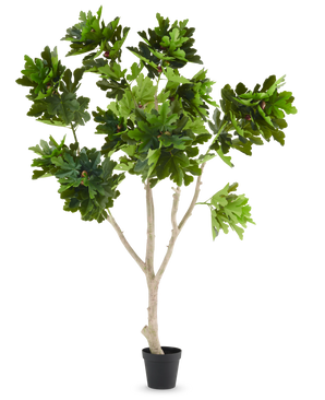 La Planta Artificial Higuera Ficus Carica 250 cm es una higuera artificial en maceta con múltiples ramas de color marrón claro y manojos de hojas grandes, verdes y lobuladas, presentadas sobre un fondo blanco liso.