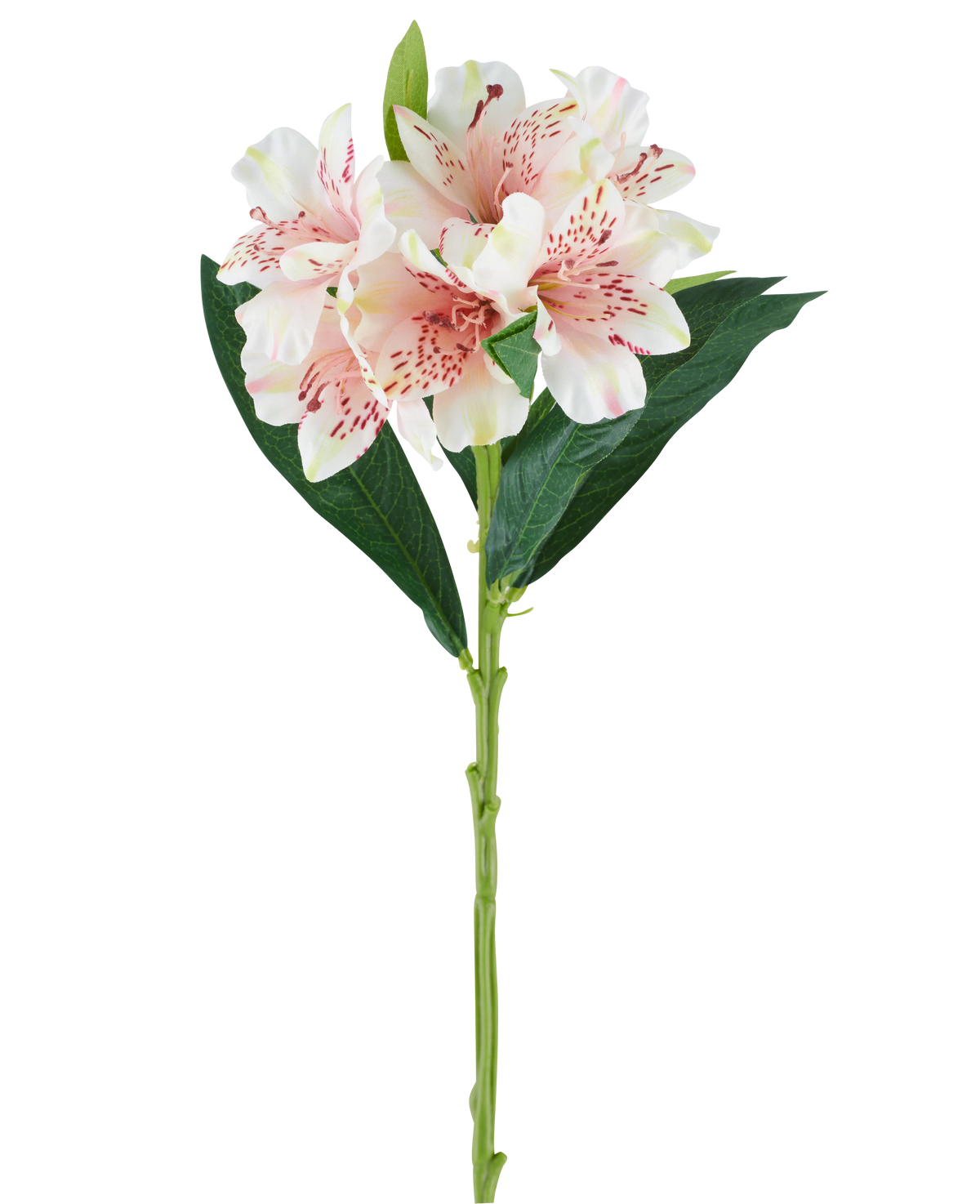 Un solo tallo de flor artificial de Alstroemeria de 74 cm de color rosa claro con hojas verdes y tres flores de color rosa claro con motas de color rosa oscuro, sobre un fondo blanco.