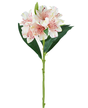 Un solo tallo de flor artificial de Alstroemeria de 74 cm de color rosa claro con hojas verdes y tres flores de color rosa claro con motas de color rosa oscuro, sobre un fondo blanco.