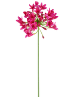 Un único y largo tallo verde de la flor artificial Agapanthus 75 fucsia tiene un racimo de flores de color rosa vibrante en la parte superior, destacándose sobre un fondo blanco liso.