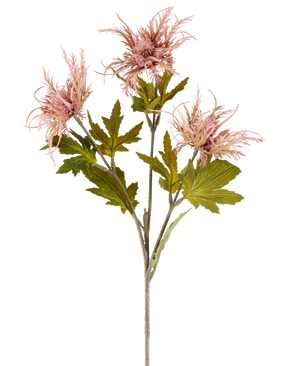 Un solo tallo de flor artificial Armeria maritima, de 67 cm de color rosa viejo, con varias hojas verdes y tres flores puntiagudas de color rosa viejo, representado sobre un fondo blanco liso.