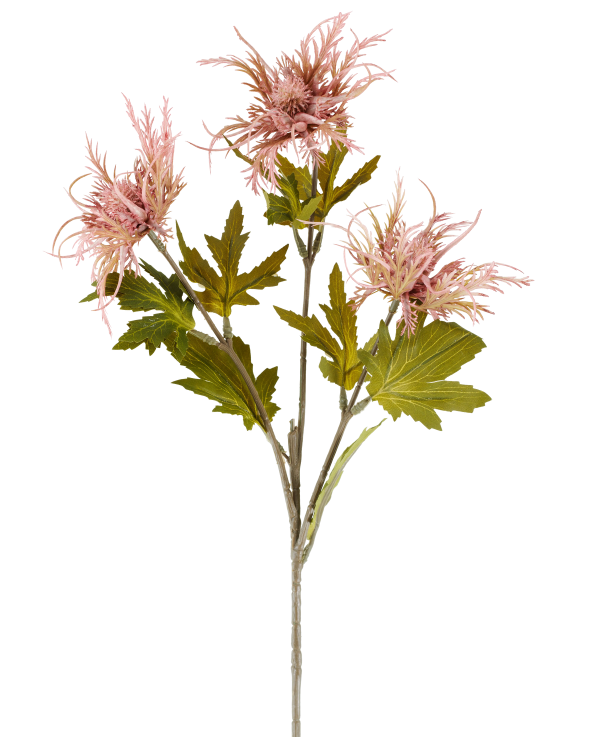 Un solo tallo de flor artificial Armeria maritima, de 67 cm de color rosa viejo, con varias hojas verdes y tres flores puntiagudas de color rosa viejo, representado sobre un fondo blanco liso.