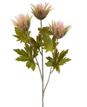 Flor artificial Cardo 67 cm rosa antiguo se compone de tres flores artificiales de cardo puntiagudas de color rosa y dorado con hojas verdes sobre tallos grises, representadas sobre un fondo blanco.