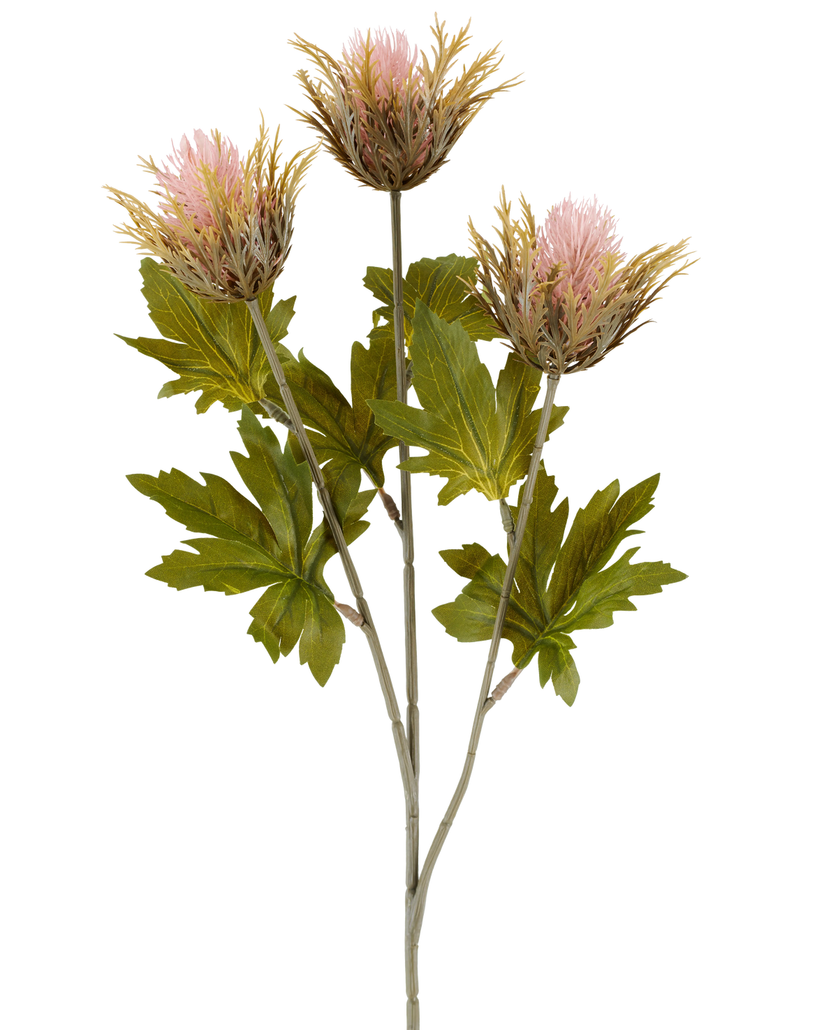 Flor artificial Cardo 67 cm rosa antiguo se compone de tres flores artificiales de cardo puntiagudas de color rosa y dorado con hojas verdes sobre tallos grises, representadas sobre un fondo blanco.