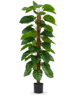 La planta artificial Epipremnum aureum de 180 cm tiene hojas grandes de color verde brillante dispuestas a lo largo de un tallo central marrón y se presenta en una pequeña maceta negra, representada sobre un fondo blanco liso.
