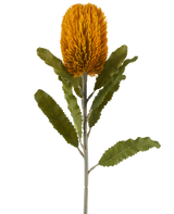 Una única flor artificial de Banksia de color mostaza, de 65 cm de altura, con forma cilíndrica y hojas verdes dentadas sobre un largo tallo, aislada sobre un fondo blanco.