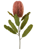 Un solo tallo de la flor artificial Banksia de 65 cm de color rosa antiguo tiene una gran flor rosada, cilíndrica y hojas largas y dentadas de color verde que destacan sobre un fondo blanco.
