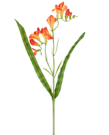 Un solo tallo de la flor artificial Fresia de 56 cm de color naranja, con hojas verdes largas y estrechas y múltiples flores de fresia naranja en la parte superior, fotografiadas sobre un fondo blanco.