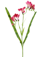 Una flor artificial: fresia de 56 cm en color fucsia, con vibrantes flores fucsias y dos largas y esbeltas hojas verdes, representadas sobre un fondo blanco.