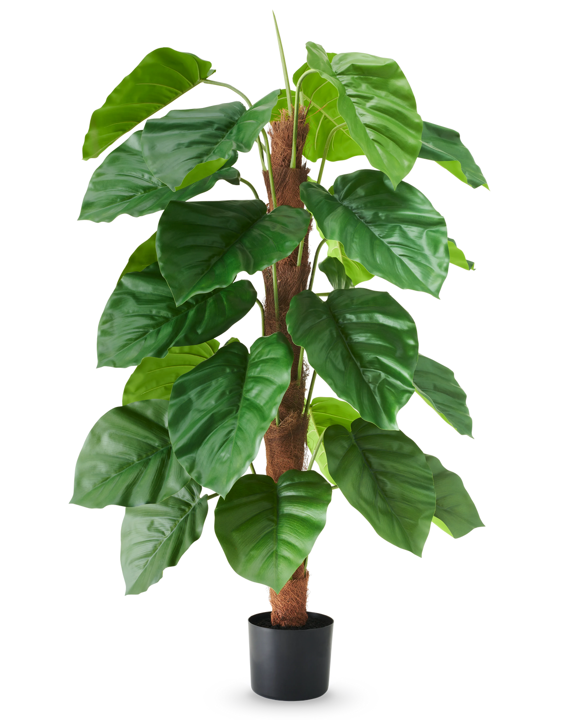 Planta artificial Epipremnum aureum, de 120 cm de altura, con hojas grandes de color verde brillante en una maceta negra, representada sobre un fondo blanco liso.