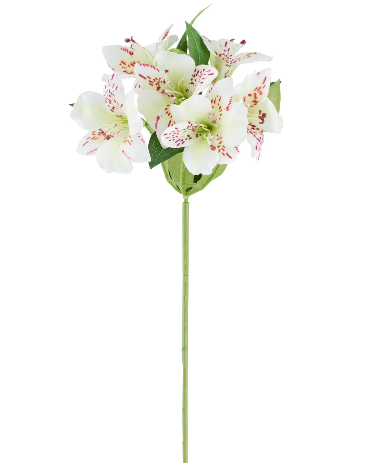 Flor artificial Alstroemeria de 47 cm de color crema con pétalos de color crema y sutiles motas rojas, complementadas con hojas verdes sobre un único tallo verde, representada sobre un fondo blanco.