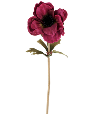 Una única flor de anémona artificial de 38 cm en color rojo burdeos, con pétalos en capas de color rosa oscuro, un corazón oscuro, hojas verdes y un tallo largo y delgado, representada sobre un fondo blanco liso.