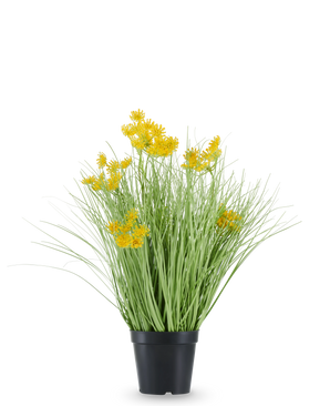 La hierba de cebolla con flores de raíz de césped artificial está alojada en una maceta de plástico negro, con hojas largas y delgadas parecidas a la hierba y racimos de pequeñas flores de color amarillo brillante en las puntas. La planta artificial tiene 50 cm de altura, es ignífuga y se alza sobre un fondo blanco liso.