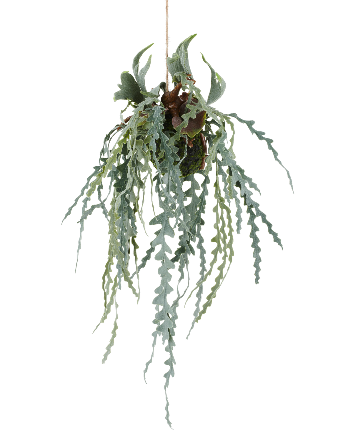 La hoja de cuerno de ciervo artificial de 61 cm en una maceta colgante tiene hojas verdes largas y onduladas y ramas en forma de astas que crecen a partir de un bulbo cubierto de musgo, suspendido por una cuerda sobre un fondo blanco.