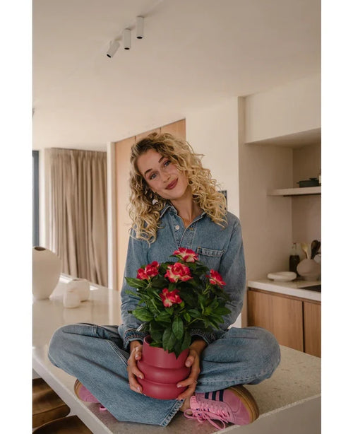 Una mujer de pelo rubio rizado, vestida con un mono vaquero y zapatillas rosas, está sentada con las piernas cruzadas en la encimera de una cocina y sonríe mientras sostiene la planta Artificial Gardenia UV 39 cm en color fucsia.