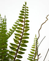Detalle de la Planta Artificial Helecho Boston de 48 cm en maceta decorativa: las hojas verdes del helecho destacan sobre un fondo blanco, con algunas ramas finas y rizadas de color marrón entre las hojas.