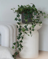 Una hiedra artificial Deluxe Green, una hiedra colgante de 90 cm en una maceta gris, se alza sobre una base escultórica moderna y blanca junto a una manta blanca doblada y un cojín estructurado blanco.