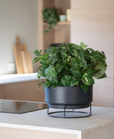 Una planta artificial 'Golden Vine' en una maceta de 40 cm con hojas de color verde brillante se encuentra sobre un moderno soporte negro sobre una encimera de color claro, con utensilios de cocina borrosos en el fondo.