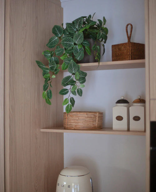 Una estantería de cocina con Fittonia colgante artificial verde-blanca en una maceta (70 cm), una planta colgante, junto a una cesta de mimbre, dos macetas con etiquetas y un pequeño dispositivo debajo, todo ello sobre un fondo de armarios de madera clara.
