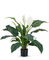 La planta artificial Spathiphyllum white 85 cm es una planta realista en maceta con hojas grandes de color verde oscuro y tres flores blancas sobre un fondo blanco liso: una elegante planta de interior para cualquier interior.