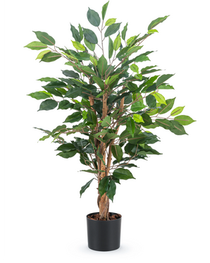La planta artificial Ficus Green de 90 cm tiene varios tallos marrones y exuberantes hojas verdes en una sencilla maceta negra, ideal como elegante planta de oficina.