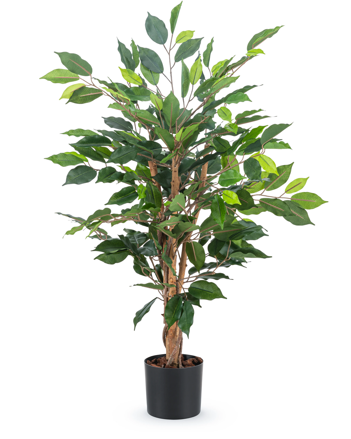 La planta artificial Ficus Green de 90 cm tiene varios tallos marrones y exuberantes hojas verdes en una sencilla maceta negra, ideal como elegante planta de oficina.