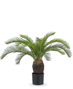 La Planta Artificial Baby Cycas Palm 60 cm tiene hojas verdes largas y curvas y un tronco marrón grueso y texturizado, presentada en una maceta sobre un fondo blanco liso.