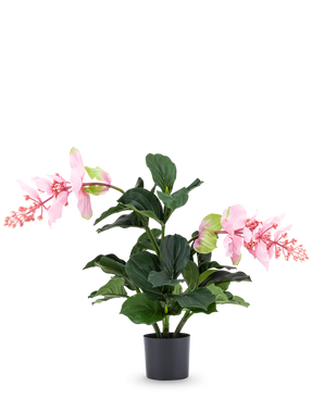 La planta artificial Medinilla de 60 cm tiene hojas grandes de color verde oscuro y dos tallos altos con racimos de flores rosas que recuerdan al hibisco y se alzan sobre un fondo blanco liso.