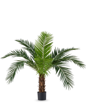 La palmera artificial Phoenix Canarie de 160 cm con largas hojas verdes y aspecto tropical se encuentra en una maceta sobre un fondo blanco. Esta palmera artificial aporta inmediatamente un ambiente tropical a cualquier habitación.