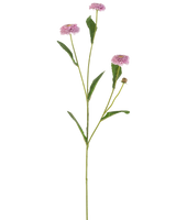 La Flor Artificial Aster Verano 57 cm malva tiene un tallo verde largo y delgado con tres flores malvas que parecen margaritas y hojas verdes alargadas que se ramifican, todo ello sobre un fondo blanco liso.