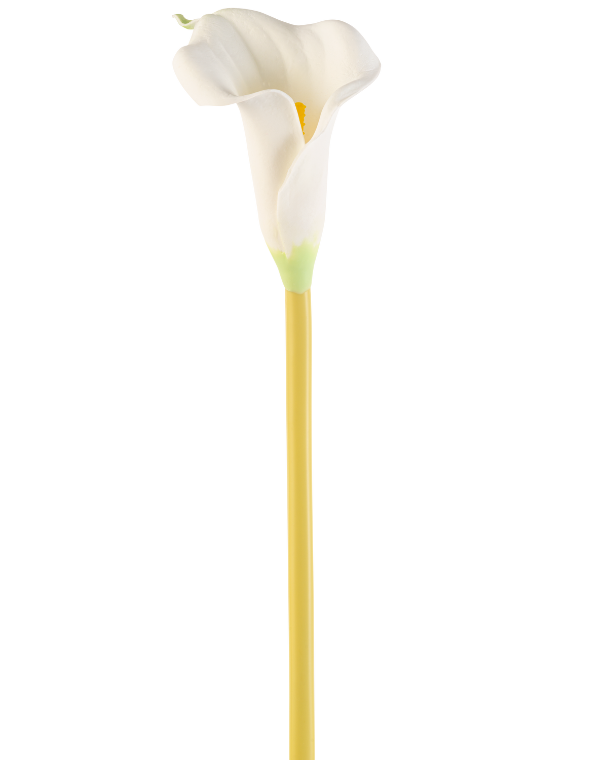 La Flor Artificial Cala 64 cm crema es una única cala artificial blanca con un largo tallo amarillo, sobre un fondo blanco liso.